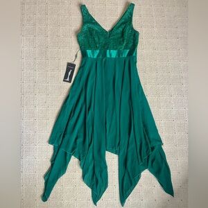 NWT Ever Pretty Dress